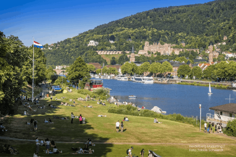 Neckarwiese Heidelberg in summer time; Heidelberg Marketing / Foto: Tobias Schwerdt