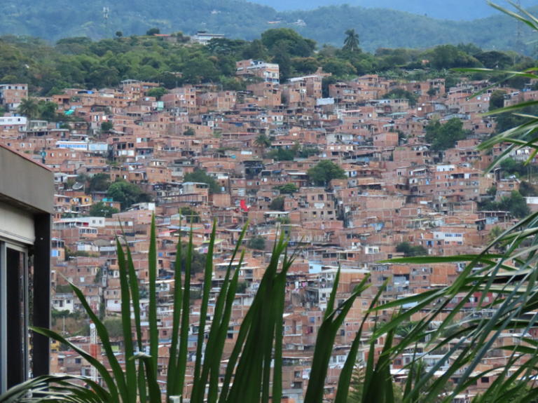 Dense hillside settlement with many small brick houses and some vegetation in the foreground