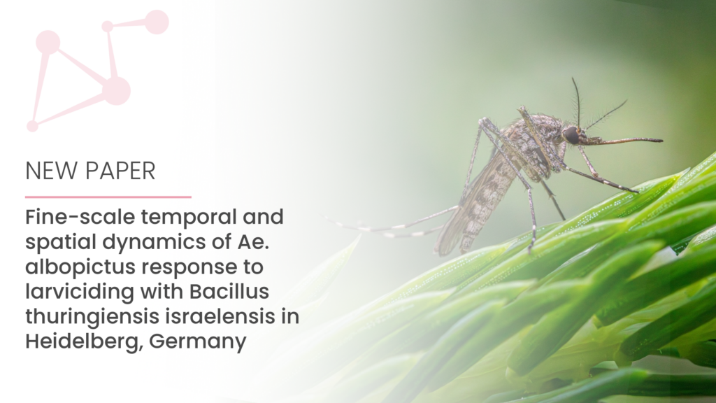 Close-up of a mosquito on a green plant leaf with text about a scientific study on Ae. albopictus and Bacillus thuringiensis israelensis in Heidelberg, Germany