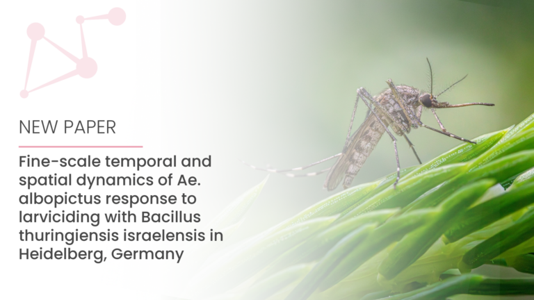 Close-up of a mosquito on a green plant leaf with text about a scientific study on Ae. albopictus and Bacillus thuringiensis israelensis in Heidelberg, Germany