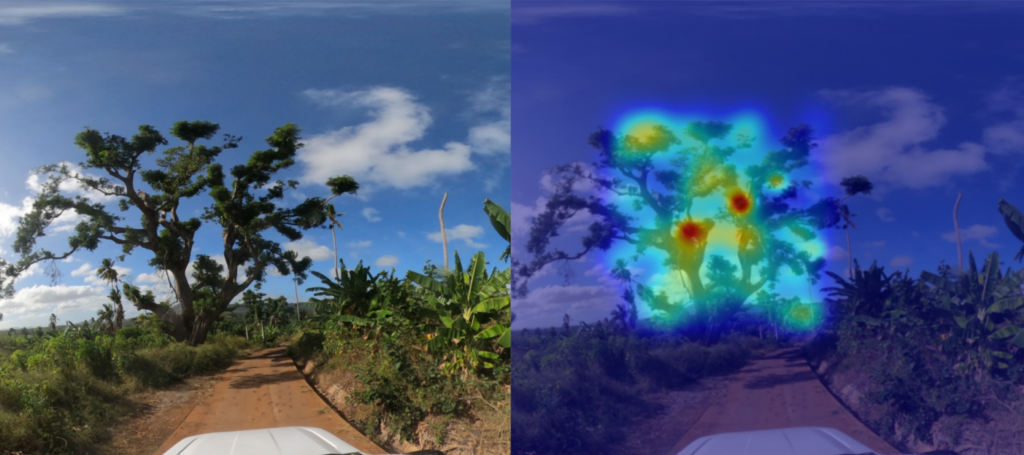Dirt road lined with trees and vegetation under a partly cloudy sky with a heatmap overlay highlighting areas on the trees and sky