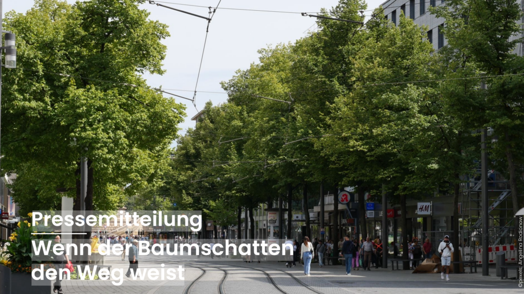 Straße mit Straßenbahnschienen unter großen Bäumen, die Schatten spenden, und mehreren Fußgängern auf dem Gehweg