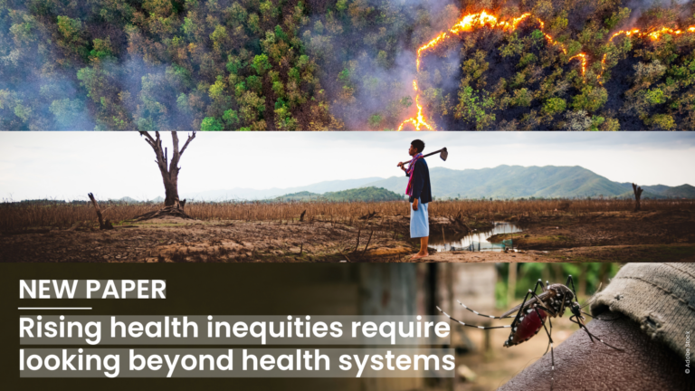 the graphic shows three images: a forest fire, drought and a tiger mosquito