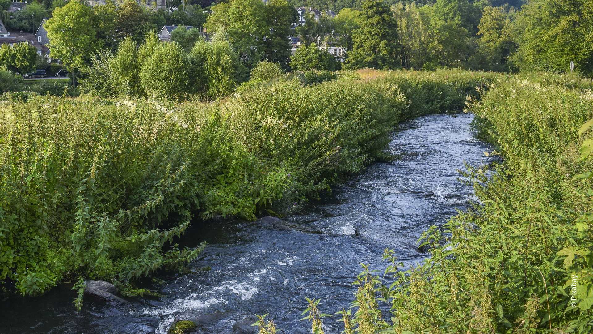 Stream, Nature, Mountain image